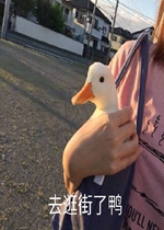ȥ�����ѼѼѼ�����