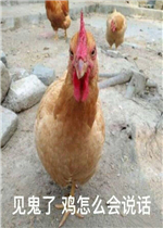 ��Ʒ�������·��ɱ����