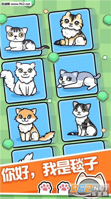 跑跑云养猫安卓版截图3
