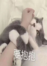 è��Ҫ���������