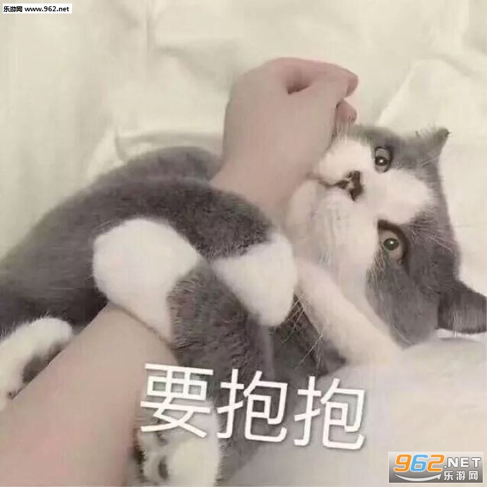 è��Ҫ�����������ͼ0