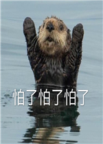 ����С��˯��ʱ�䵽�˱����