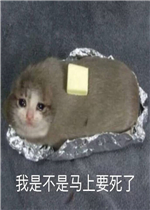 ������Ǯ���Ҹ�������ͼƬ