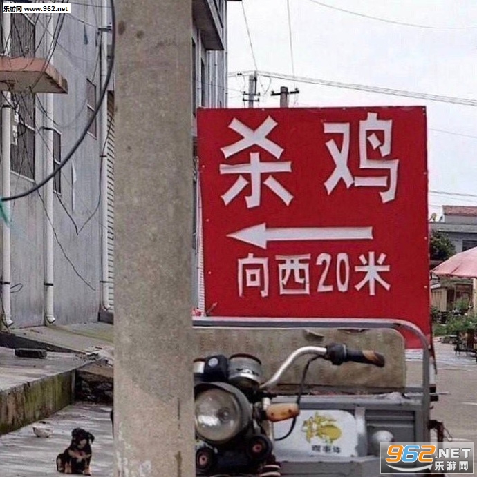 �����̸����㿪�����ͼƬ��ͼ6