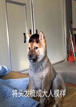 ��ͷ����ɴ���ģ�����������