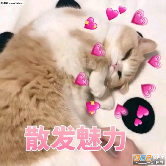 �˼Ҿ���ճ����è������ͼƬ��ͼ4