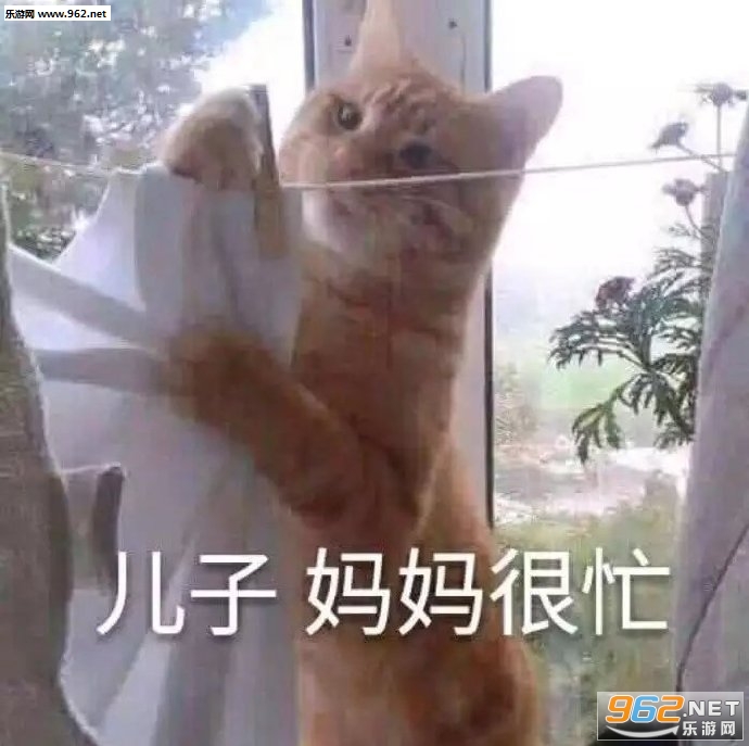 �˼Ҿ���ճ����è������ͼƬ��ͼ5