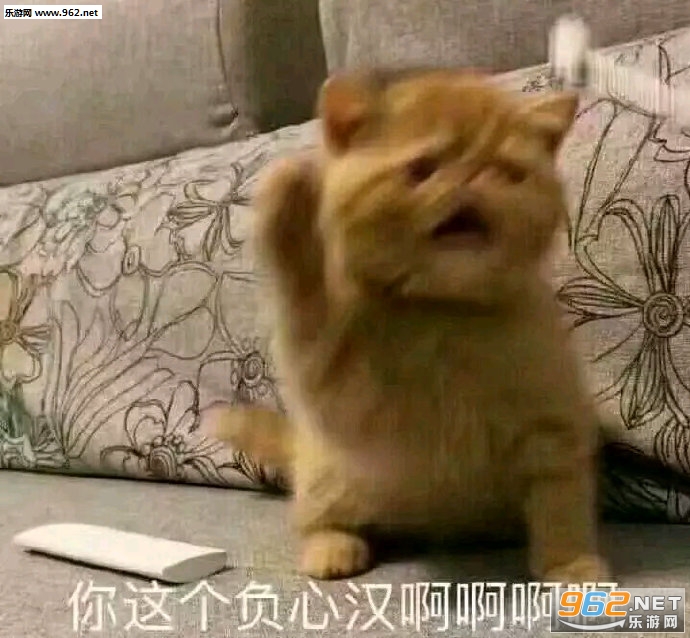 �˼Ҿ���ճ����è������ͼƬ��ͼ6
