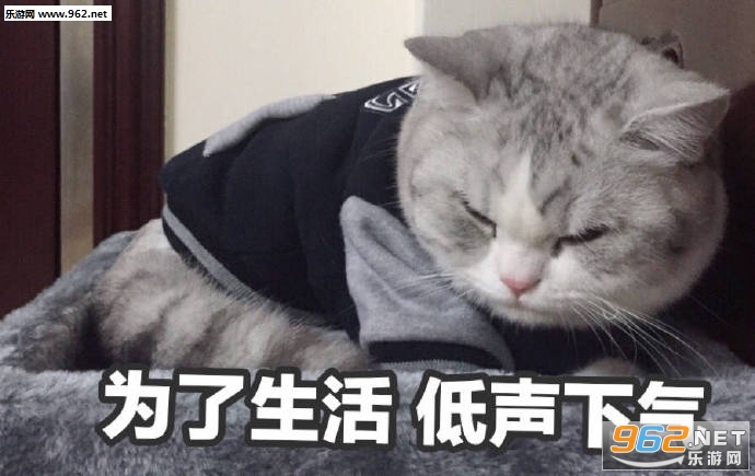 Ӯһ�Ѿ�˯����ͼ�������ͼ6