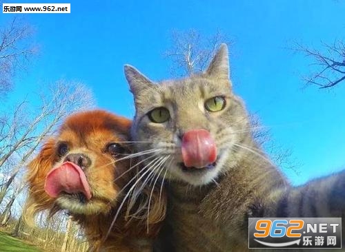 è�����ı������ͼ6