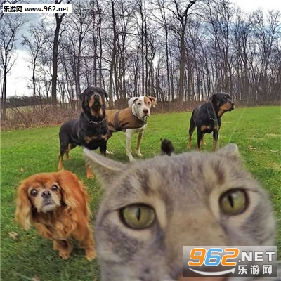 è�����ı������ͼ7