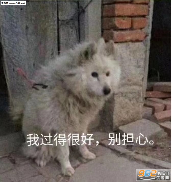 �����ӵĺ���Ϣ�������ͼ0