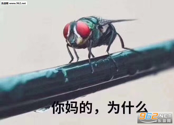 D��Ż�����ͼƬ��ͼ4