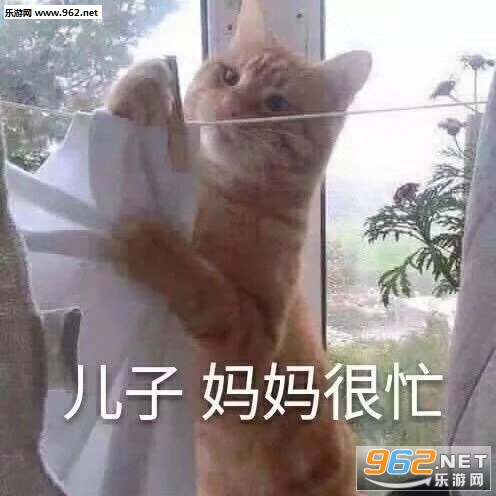 û�����ں����������