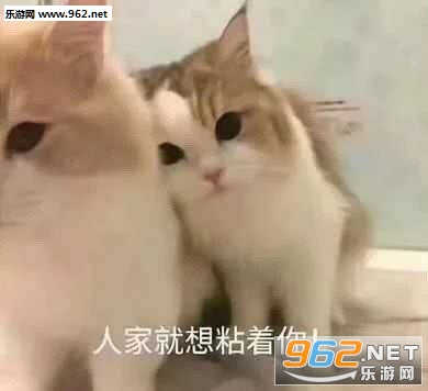û�����ں����������