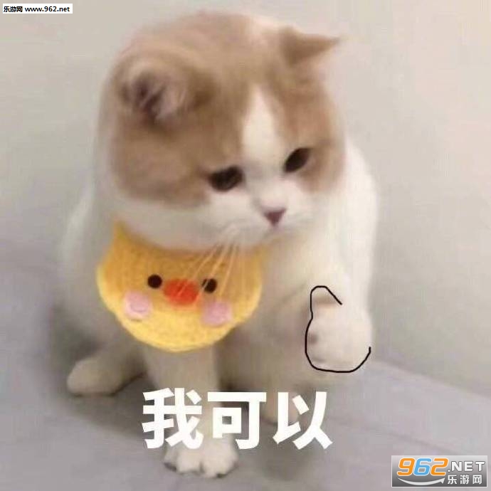 ���ڵ��������ޱ����ͼƬ