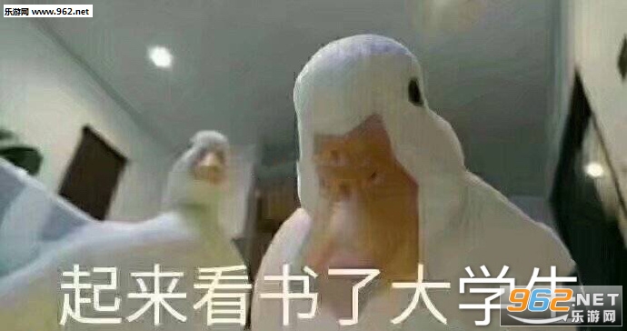 起来看书了大学生表情包 起来看书了大学生表情包