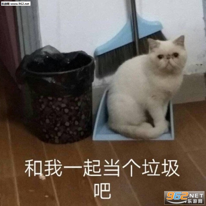 ���ҳ���è�����