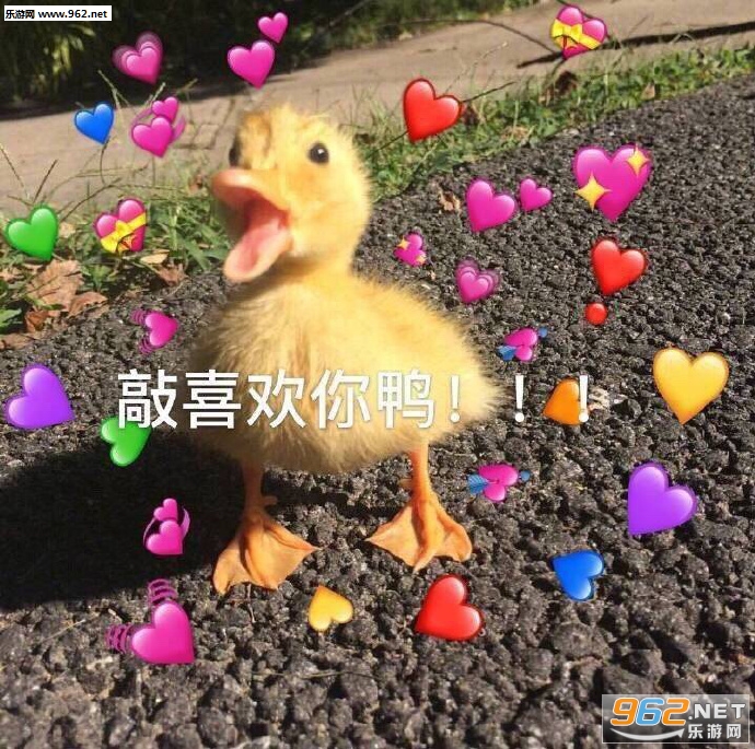 ��ɵ������������è������
