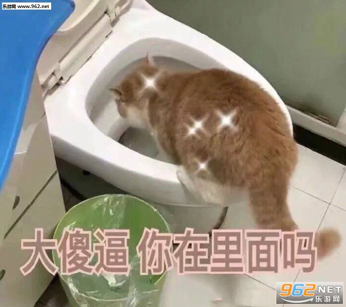 ��ɵ������������è������