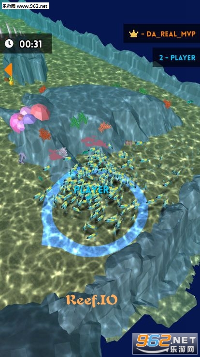  Reef.IO����