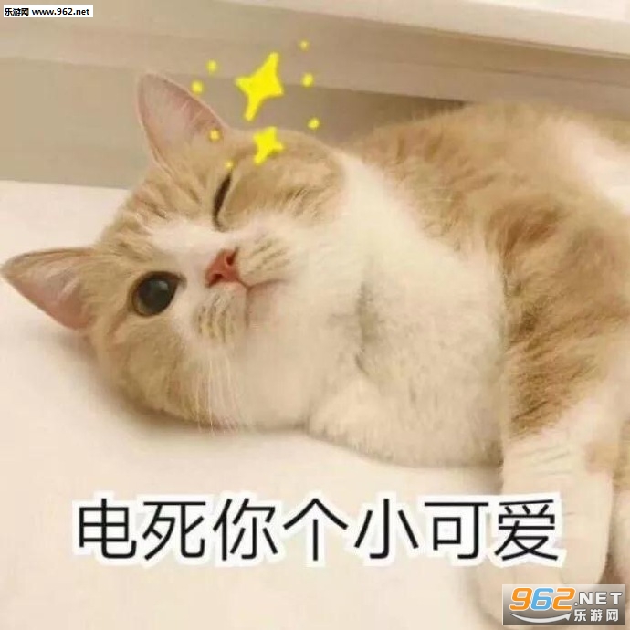 �������С�ɰ���������