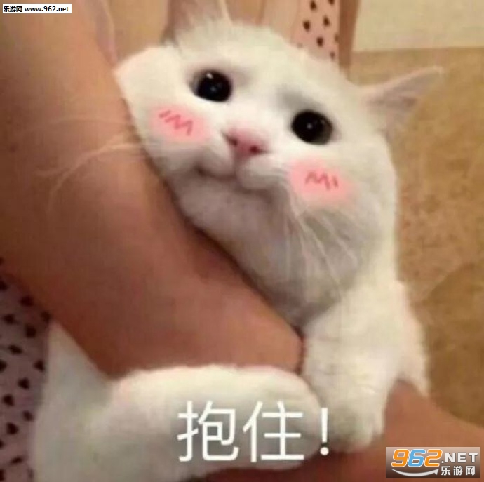 �������С�ɰ���������