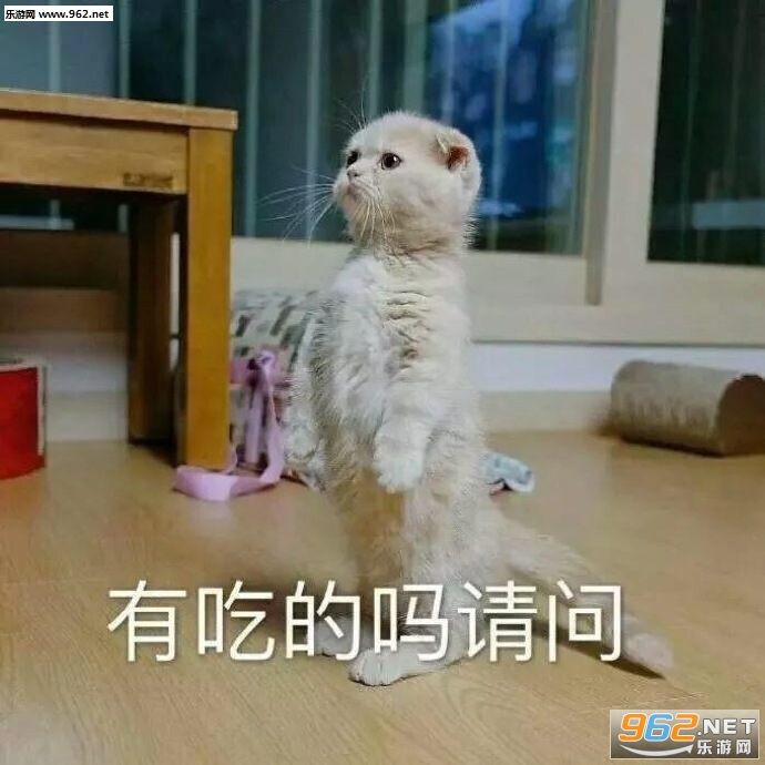 �������С�ɰ���������