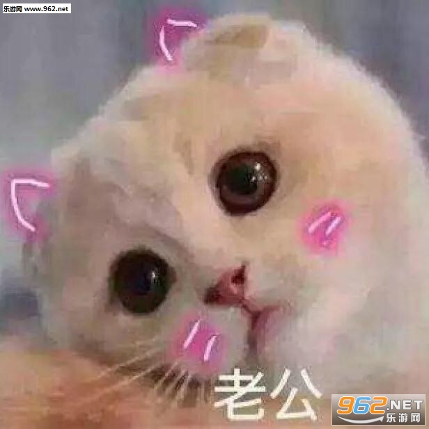 �������С�ɰ���������