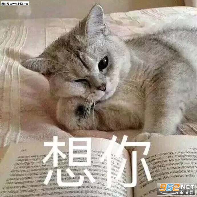 �������С�ɰ���������