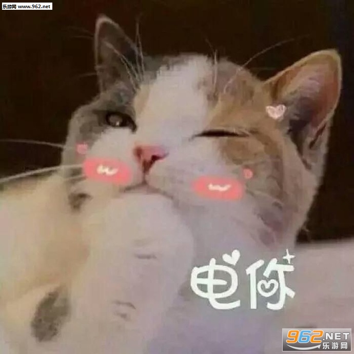 �������С�ɰ���������