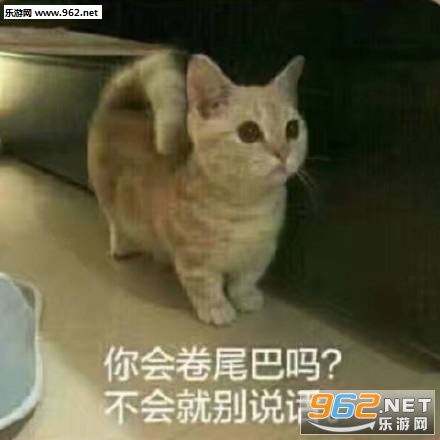 ֧֧���ر����