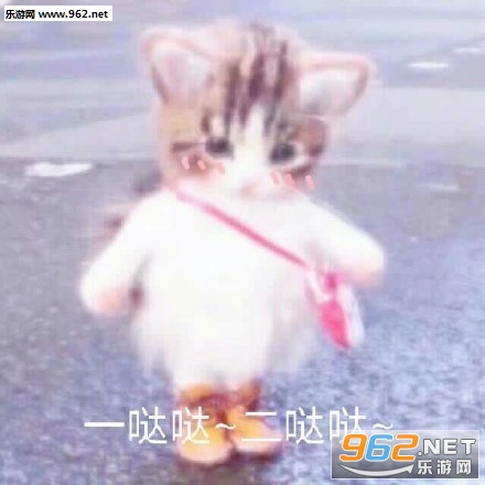 ֧֧���ر����