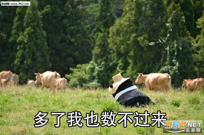 ͻȻ����ȥ��ţ������ͼƬ