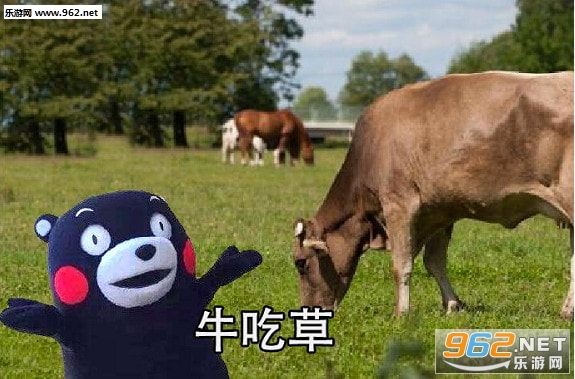 ͻȻ����ȥ��ţ�����