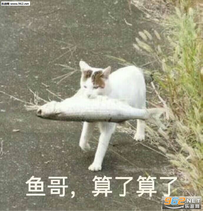 �����������˱����
