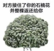 ʯ骻�ϵ�б����