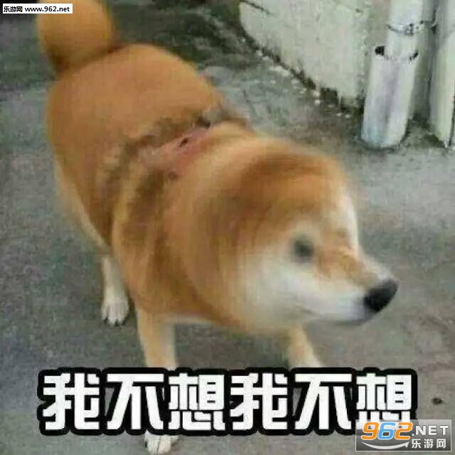 Ů�������Ҳ����Ҳ��������