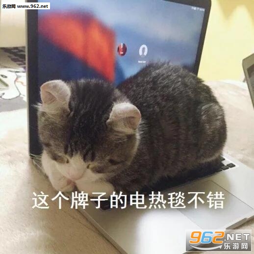��ȫ���ҵĲ˱����