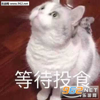 ����ϵ�б����