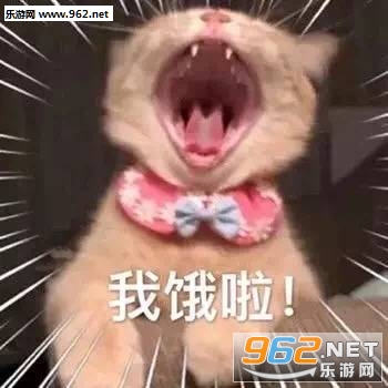 ����ϵ�б����