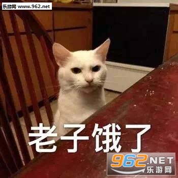 ����ϵ�б����