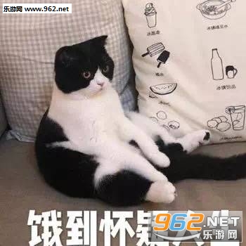 ����ϵ�б����
