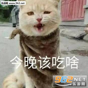 ����ϵ�б����