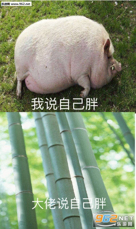 �Һʹ��е���������