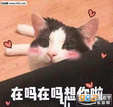 �������������������