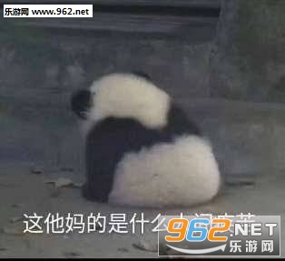 这他妈的是什么人间疾苦表情包 这他妈的是什么人间疾苦表情包