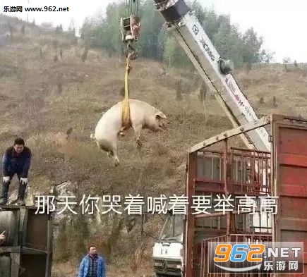��������ź���Ҫ�ٸ߸�ɳ������