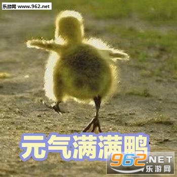 �ɰ�Ѽ�����