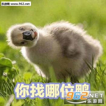 �ɰ�Ѽ�����